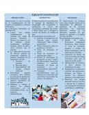 Características de producción, finanzas y mercadotecnia