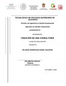 Creación de una consultoría