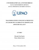 MALFORMACIONES CONGENITAS PRESENTES EN LOS RECIEN NACIDOS EN EL HOSPITAL DE APOYO DE SULLANA