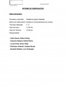 Analizar el comportamiento de compra