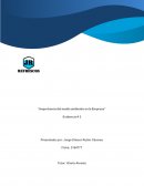 Importancia del medio ambiente en la empresa