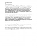 Formación Sociocultural