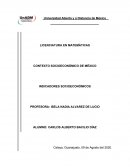 CONTEXTO SOCIOECONÓMICO DE MÉXICO . INDICADORES SOCIOECONÓMICOS