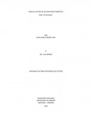 MODULO SISTEMA DE GESTIÓN MEDIO AMBIENTAL CASO “AL NATURAL”