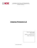 INGENIERIA COMERCIAL Empresa Primavera S.A