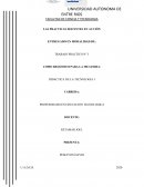 Didáctica de la Tecnología (Las Prácticas Docentes en Acción)