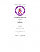 Investigación y desarrollo (I+D) Benchmarking