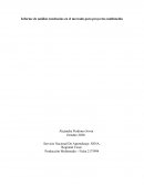 Informe Análisis tendencias del mercado para proyectos multimedia