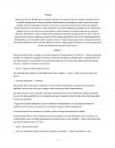 El vuelo hacia la gran manzana: El camino de Lynn hacia la NYU