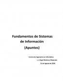 Apuntes Fundamentos de Sistemas de Información
