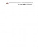 Extracción y Disposición de Ripios Procedimiento de Calibración