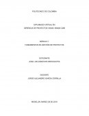 IMPORTANCIA DE LA GERENCIA DE PROYECTOS Y SUS CARACTERÍSTICAS