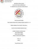 INFORME SOBRE CRISIS ECONÓMICA PERUANA PERIODO 85 – 90 PRIMER GOBIERNO DE ALAN GARCÍA.