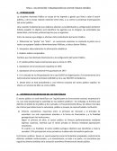 DELIMITACIÓN Y ORGANIZACIÓN DEL SECTOR PÚBLICO ESPAÑOL