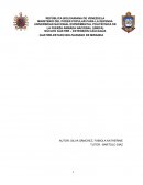 INFORME DE PRÁCTICAS PROFESIONALES REALIZADAS EN LA EMPRESA OCORPORACION ELECTRICA NACIONAL, S.A CORPOELEC