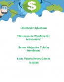 Claisificacion Arancelaria