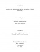 EFECTOS DE LAS VARIACIONES EN LAS TASAS DE CAMBIO DE LA MONEDA EXTRANJERA
