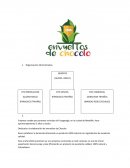 Proyecto pyme ENVUELTOS DE CHOCOLO