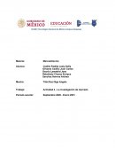 Actividad 4 - La investigación de mercado