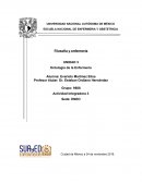 Ontología de la Enfermería