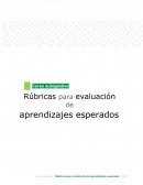 Rubricas evaluación de aprendizaje