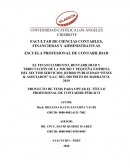 EL FINANCIAMIENTO, RENTABILIDAD Y TRIBUTACIÓN DE LA MICRO Y PEQUEÑA EMPRESA DEL SECTOR SERVICIOS