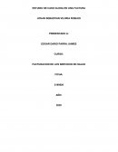 ESTUDIO DE CASO GLOSA EN UNA FACTURA