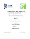 INGENIERÍA EN ADMINISTRACIÓN