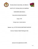 Ensayo marco teorico