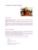 Terapia con Flores de Bach
