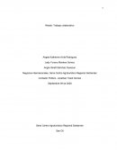 TRABAJO COLABORATIVO. Ventajas