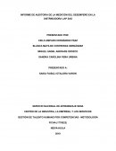 INFORME DE AUDITORIA DE LA MEDICIÓN DEL DESEMPEÑO EN LA DISTRIBUIDORA LAP SAS