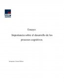 Importancia sobre el desarrollo de los procesos cognitivos