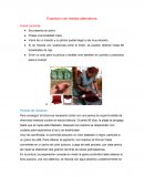 Expresión con medios alternativos
