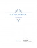 Previo Experimental No. 5 “Cromatografía”