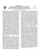 MATERIAL QUIRÚRGICO, SUTURAS Y ANESTESIA