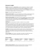 Guía para la región. Neurona.Nervios craneales