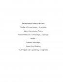 Impacto ante la pandemia y resurgimiento