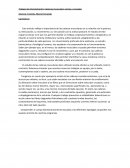 Trabajo de interpretación: Cadenas musculares rectas y cruzadas