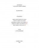 Algebra lineal trabajo colaborativo