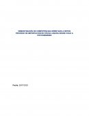 PROCESO DE IMPORTACION DE STEVIA LIQUIDA DESDE CHILE A COCHABAMABA