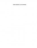 ENSAYO, TEORIA GENERAL DE LOS SISTEMAS