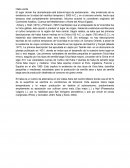 Manejo cultivo de haba