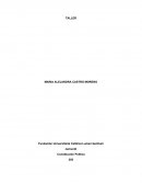 Taller de constitucion politica