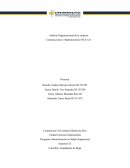 Análisis Organizacional de la empresa. Construcciones y Mantenimiento FM S.A.S.