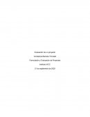 Formulación y Evaluación de Proyectos