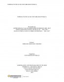 NORMAS TECNICAS DE CONTABILIDAD PUBLICA