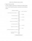 MÉTODOS (ETAPAS, PLANOS)