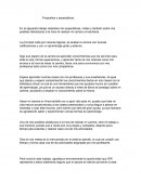 Mis Propositos y expectativas