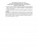 PRIMERA PRÁCTICA DIRIGIDA DE MECANICA DE MATERIALES
